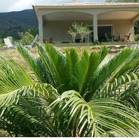 Ferienwohnung Ma Vie La Patrimonio Exterior foto
